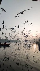 Travel and natural plasis mix chanal