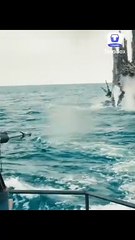 Travel and natural plasis mix chanal