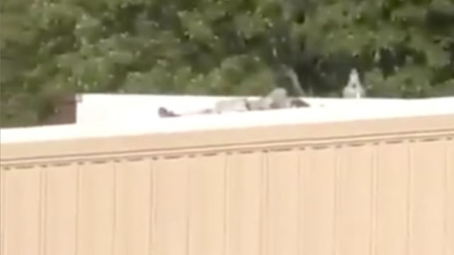 Trump'ın seçim kampanyası sırasında ateş eden kişi öldü