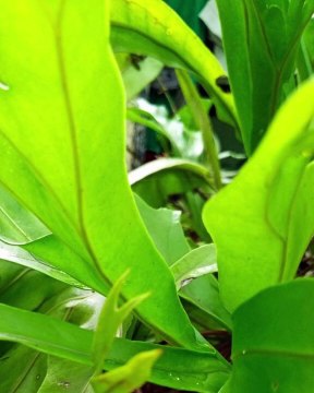 |Habib Ariel Coriat Harrar| Desafíos y Oportunidades (PARTE 2) (@HABIBARIELC)