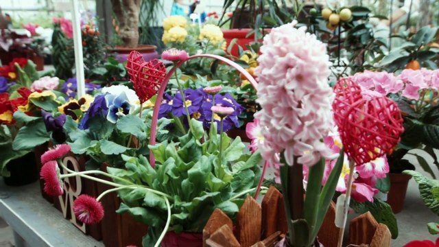 Romantic Love Song I Hindi I दिल की धड़कन तुझसे जुड़ी है I #musicvideo