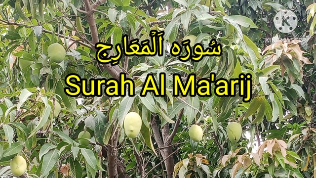 Surah Al Ma'arij | Tilawat e quran | learn quran | bubak learn quran |