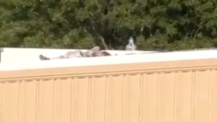 Trump'ın seçim kampanyası sırasında ateş eden kişi öldürüldü