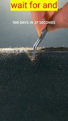 100 days in 27 seconds. Correct Time lapse video