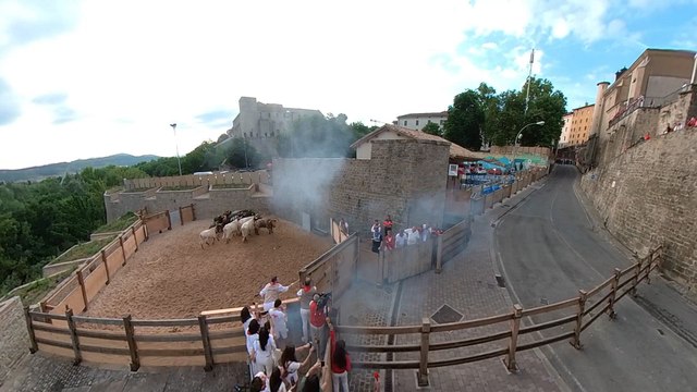 Resumen del octavo encierro de San Fermín 2014 - 14 de julio