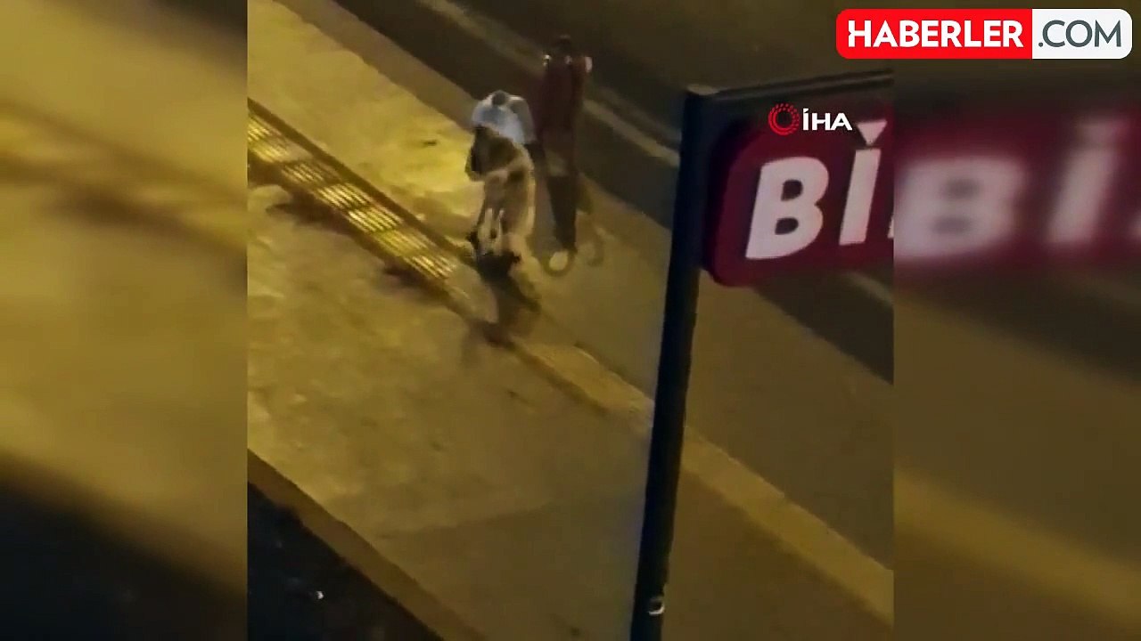 Diyarbakır'da bir köpek alkol içti ve kuyruğunu ısırmaya çalıştı