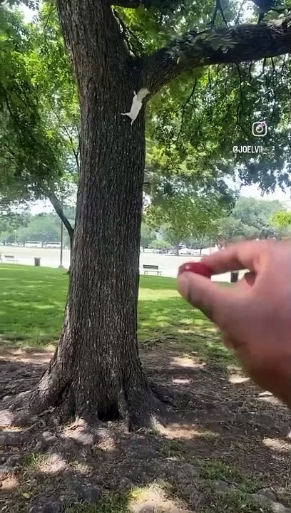 Most Beautiful Video