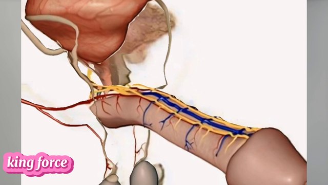 How Does Work Automatic Vacuum Pump