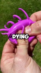 Random Facts You Need To Know !