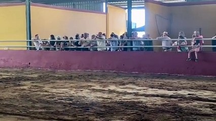 Valdestillas encumbra al caballo hispano-árabe