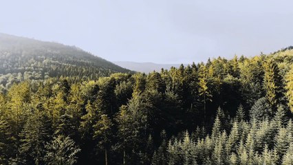 Breathtaking AI-Generated Nature Scenes | Relaxati