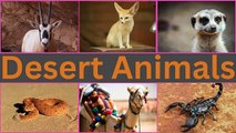 Desert Animals _ Desert Animals Name