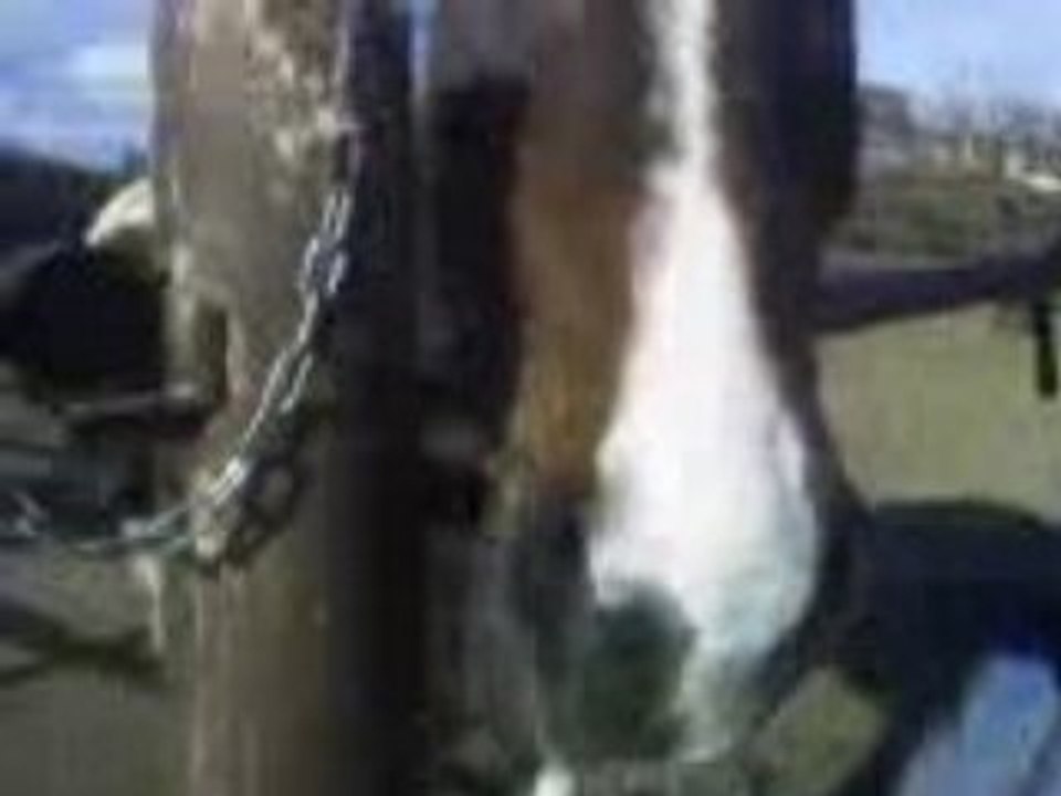 Vidéo 0230