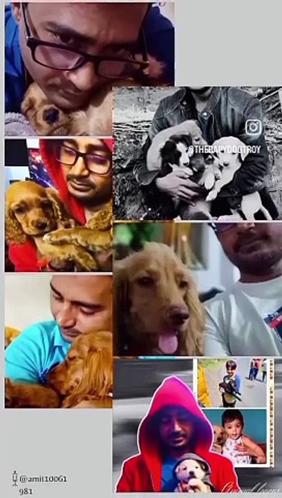 Animal Lovers