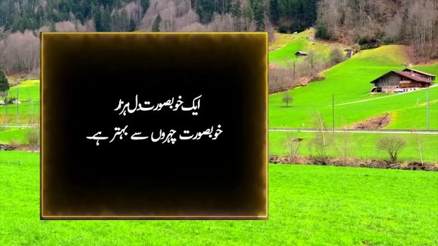 Heart Touching and Amazing Urdu Quotes Collection - Aqwal e Zareen in hindi urdu