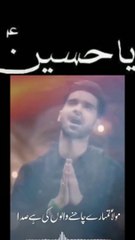 Noha Status | Muharram | Ali Shanawar | Karbala |
