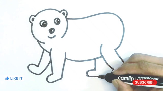 learn to draw polar bear