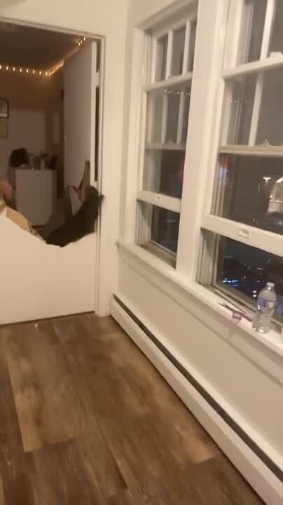 Person Breaks Locked Door While Trying to Push it Open