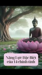 Năng lực đặc biệt của 14 chính tinh.Phần cuối