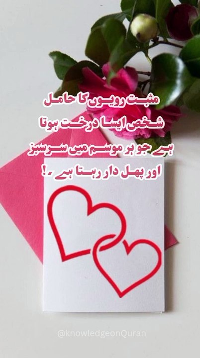 Positive attitude