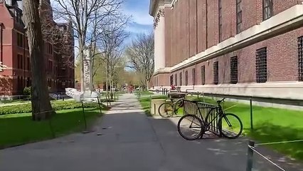 Inside a Day in the Life of a Harvard PhD Student 🎓