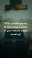 UAE: What to do if your car's cruise control fails? Dubai Police issue advisory