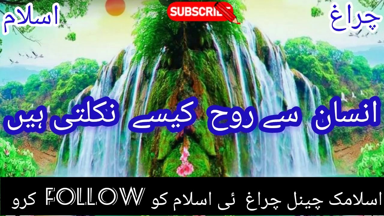 insan say Rooh kasay nikal ta hai