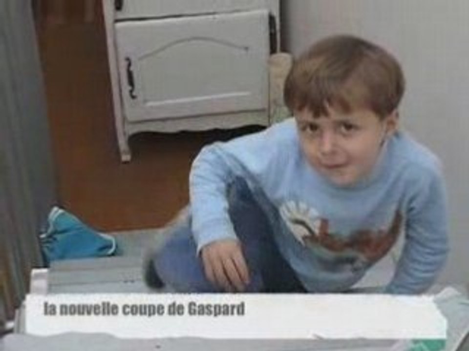 Chatons 2008 1,5 mois