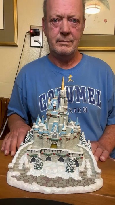 Disney light up castle, beautiful collectible!