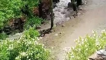 VID-20240415-WA0038