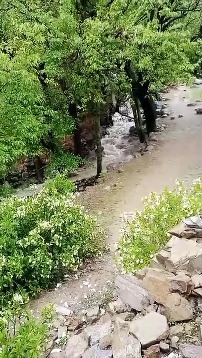 VID-20240415-WA0038