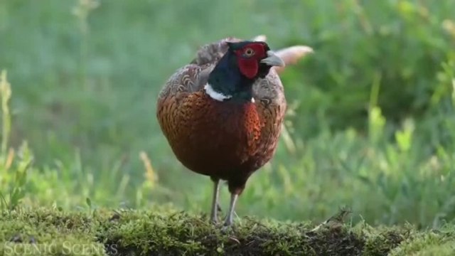 Part 4 there are so many beautiful girls