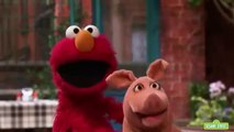 Elmo Finds the Missing Animals with Bert & Ernie | Sesame Street Full Episode.