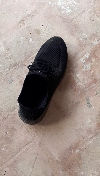 Small insect rise shoe on back