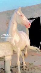 b564b6fa01397831b3e79924c3256781