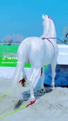 57a5c23c89164e7bfc393f430ed36f52