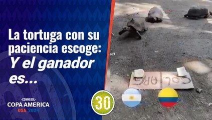 La "veloz tortuga" no podía faltar: Este es el ganador de la Copa América según ella