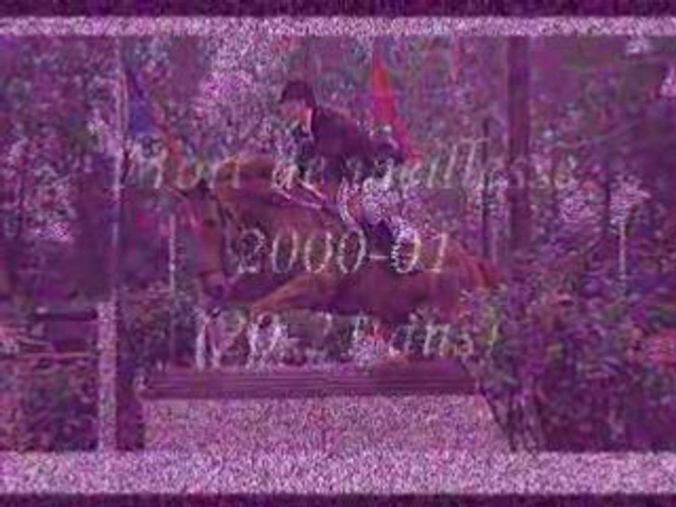 hommage chevaux de centre equestres de castres