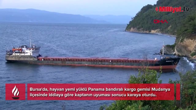 Yer: Bursa! Mürettebat ihbar etti kaptan uyudu, gemi karaya oturdu