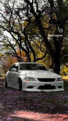 Love at First Sight: The MarkX Story 🚗