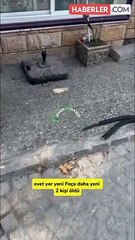 İzmir'in ardından şimdi de Foça! Belediyeden açıkta kalan kablolara skandal savunma