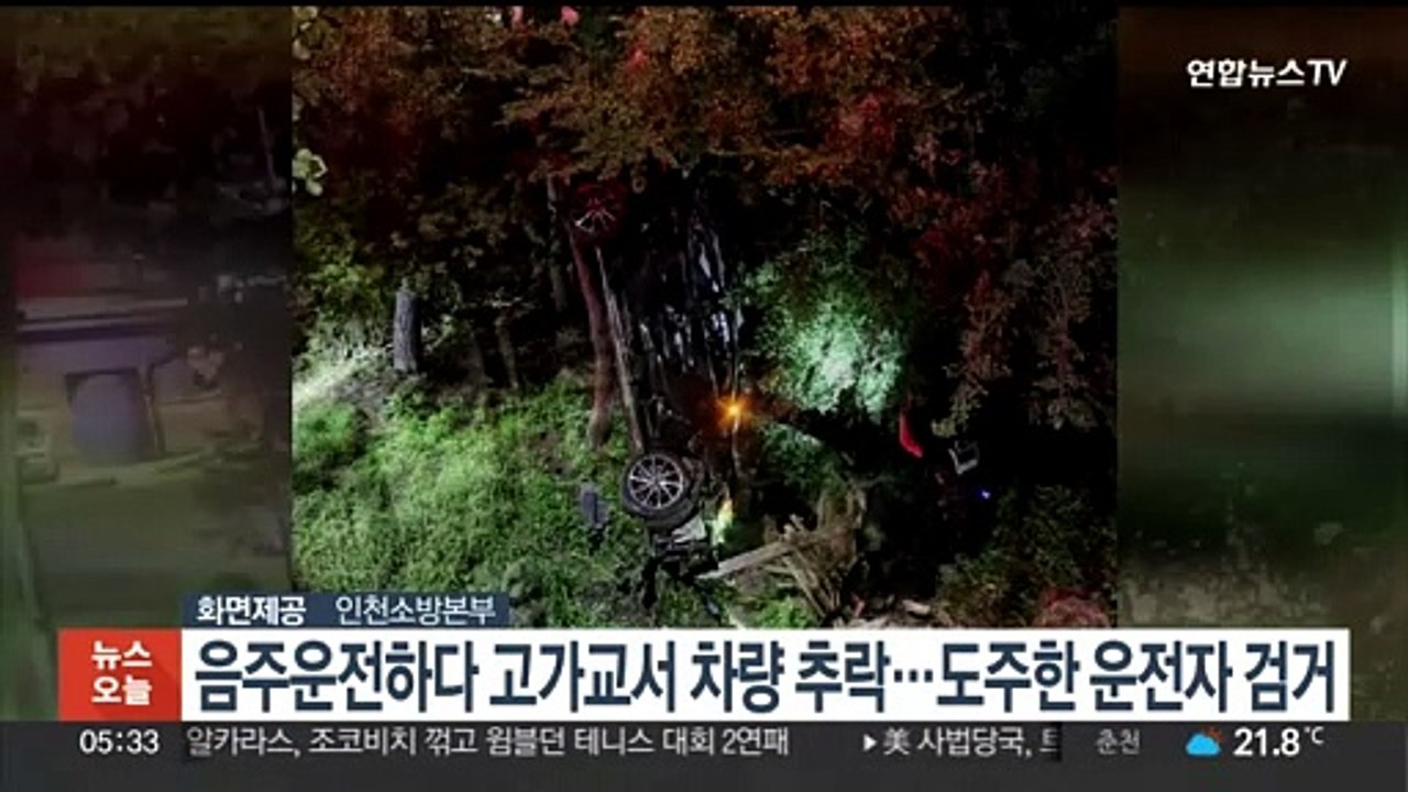 음주운전하다 고가교서 차량 추락…도주한 운전자 검거