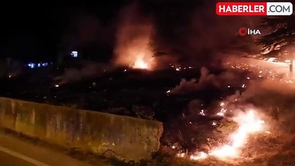 Ağaçlık alanda çıkan yangın evlere sıçramadan söndürüldü