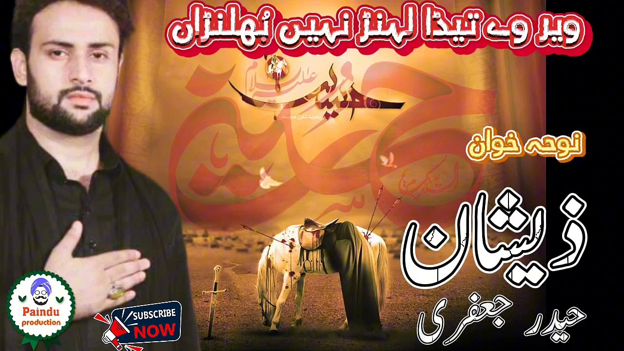 ویر وے تیڈا لہنڑ نہیں بُھلنڑاں ، سرائیکی نوحہ ، ذیشان حیدر جعفری