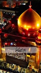 lv_7389180470765948167_20240715070346