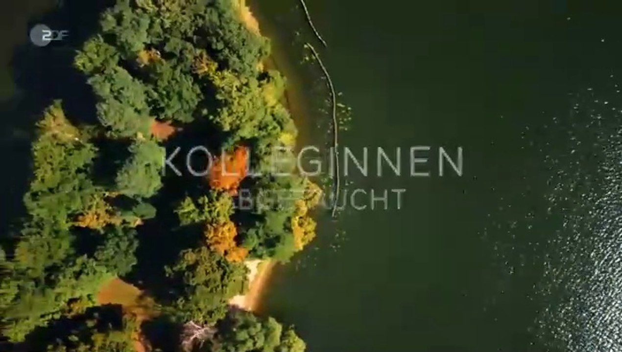 Kolleginnen -03- Abgetaucht