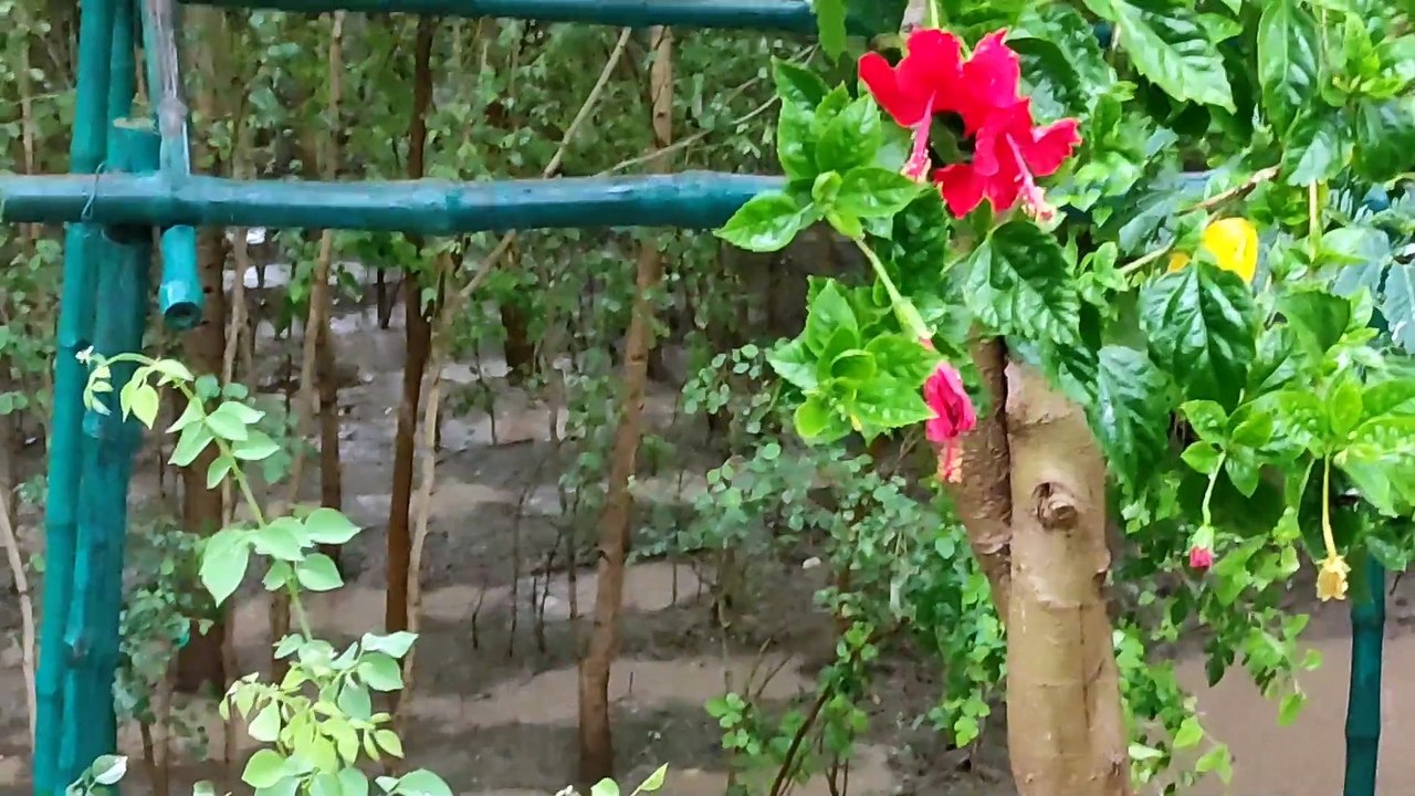 In forest a mud house for praying of holy God and a pond for rabbit and birds drinking | Natural life