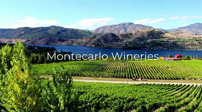 Tuscany Wine Tour: Explore Medieval Towns & Renowned Vineyards