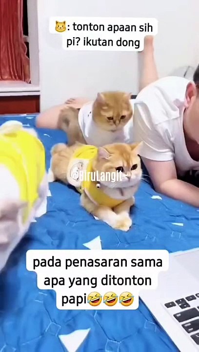 Moment in cat and tamer