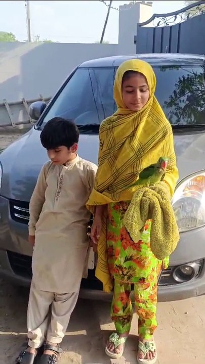 Talking Parrot #phla Kalma Tyyab